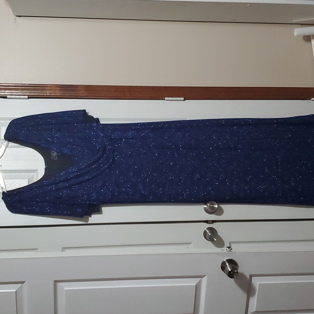 Alex Evenings Sparkly Blue Evening Gown 16W